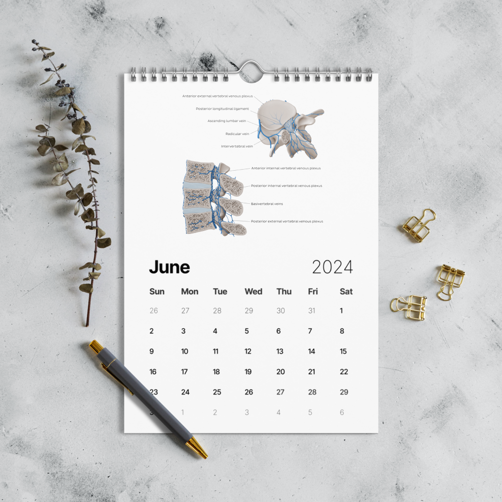 Kenhub Human Anatomy Wall calendar (2024)