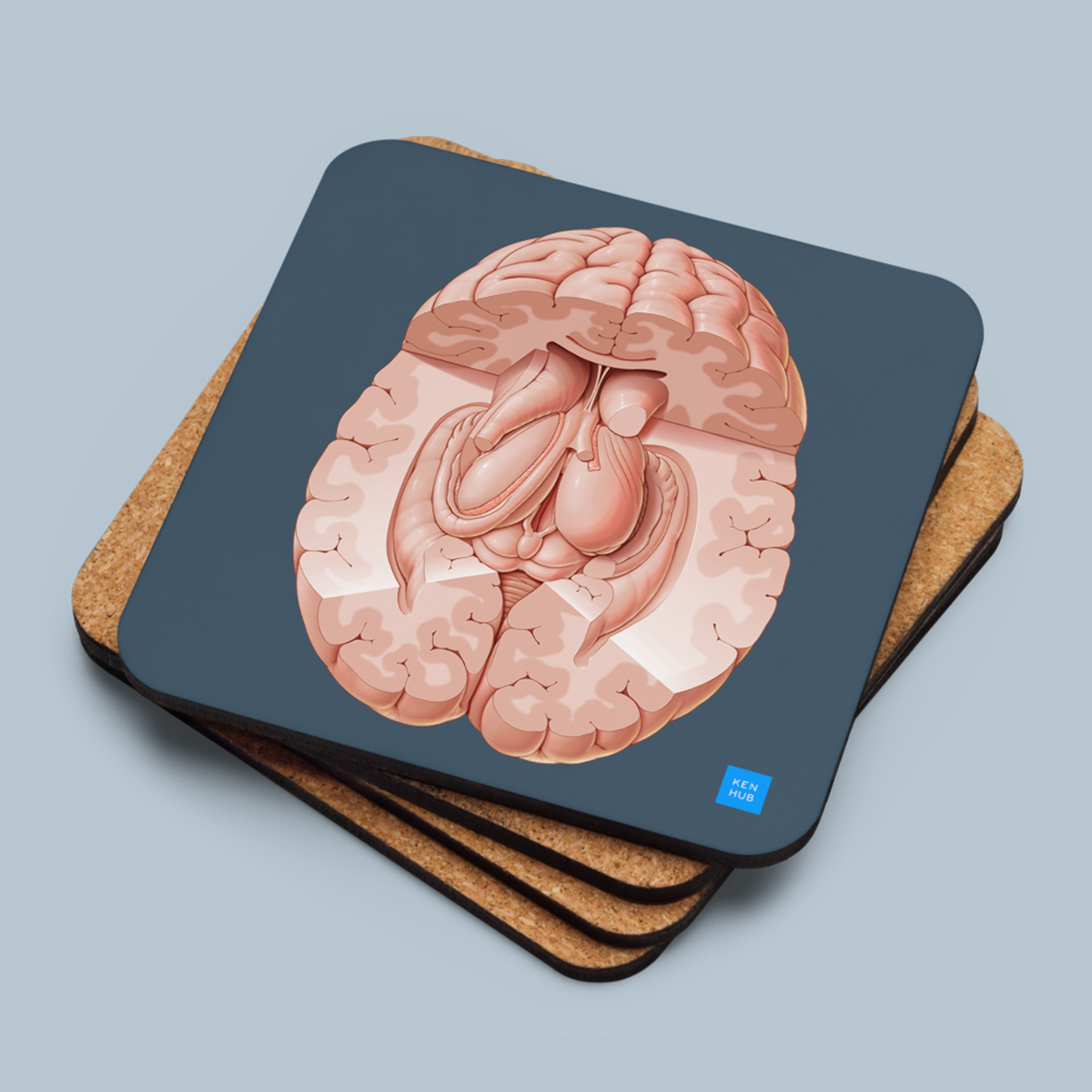 Brain Superior View Cork-back coaster