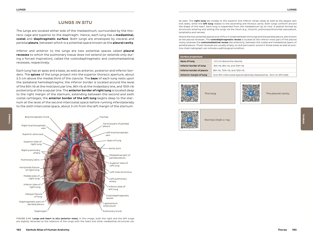 Kenhub Atlas of Human Anatomy - eBook