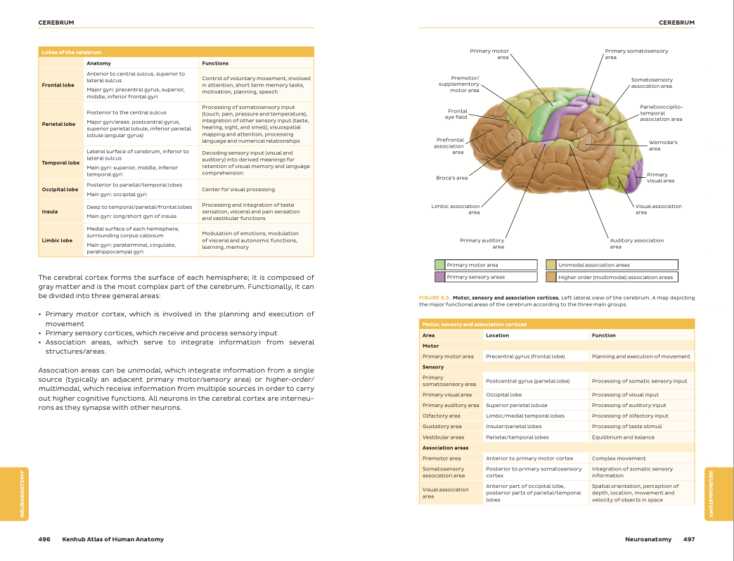Kenhub Atlas of Human Anatomy - eBook