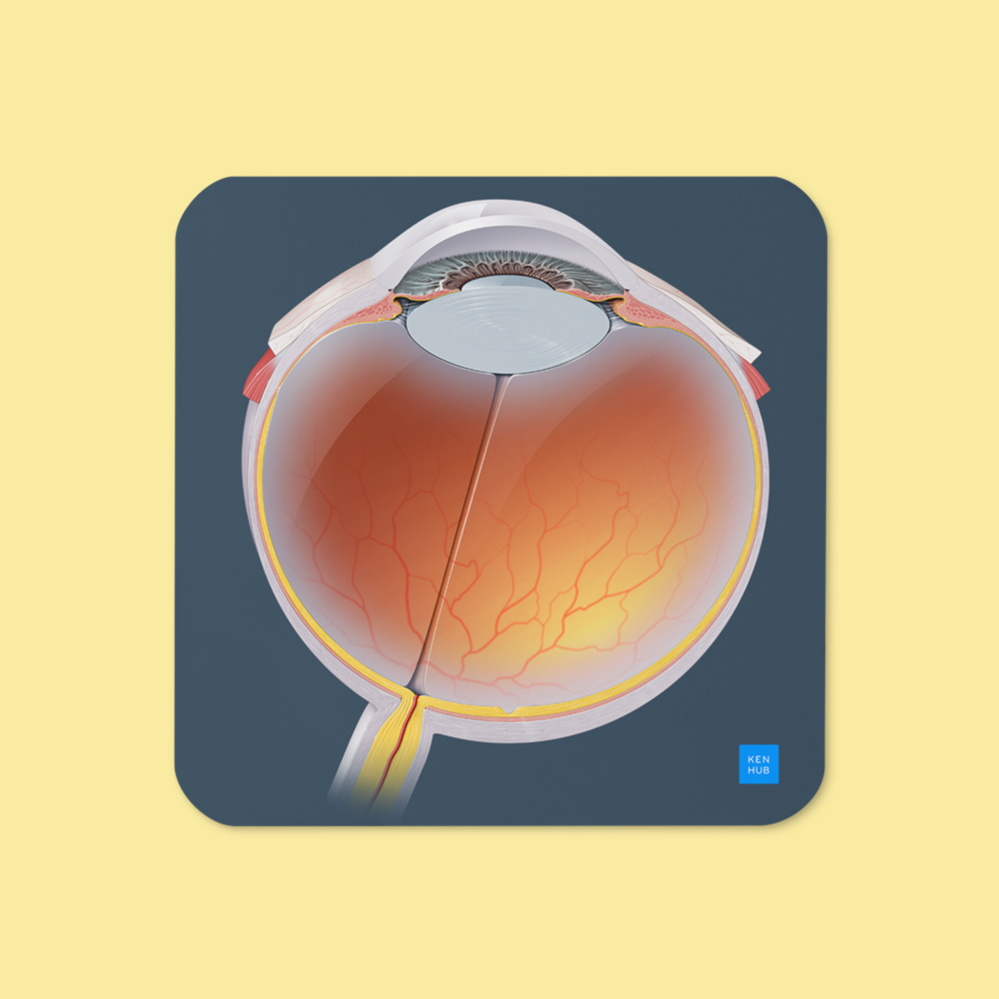 Eyeball - Cork-back coaster