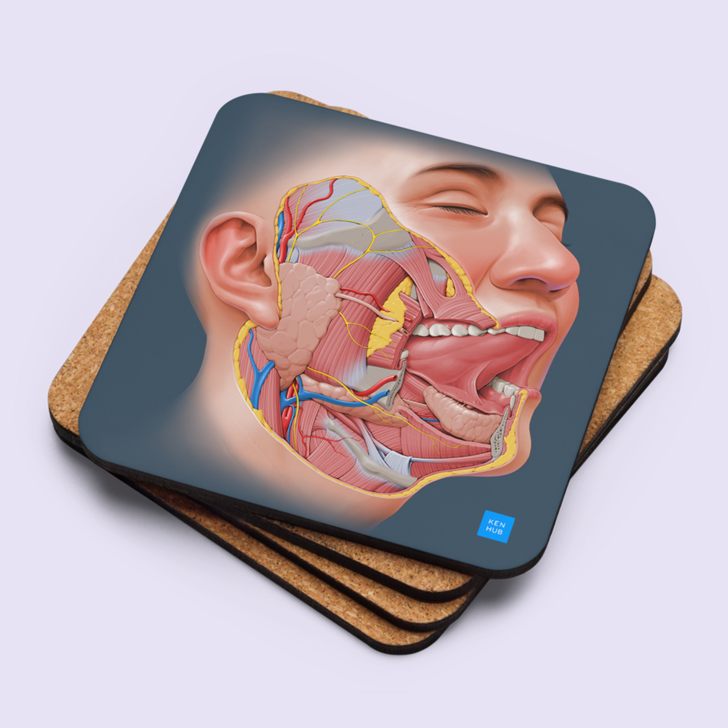Salivary Glands - Cork-back coaster
