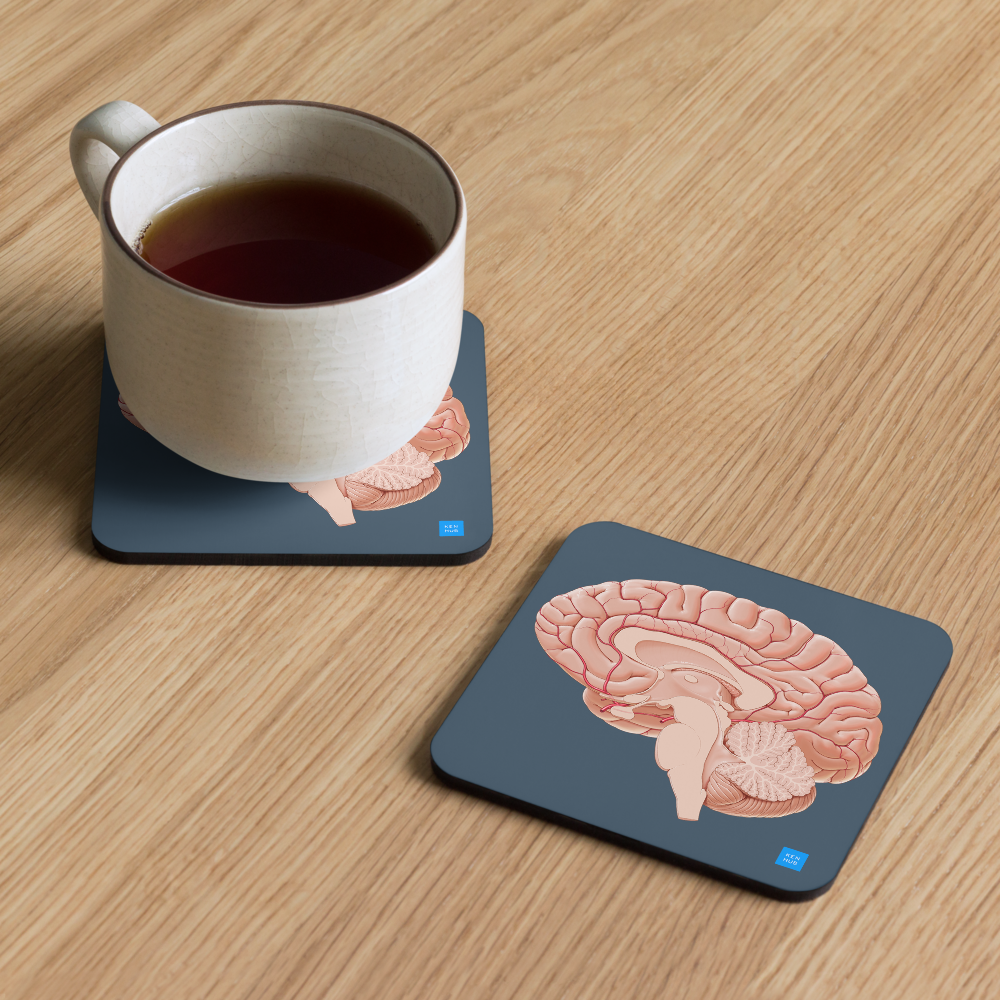 Brain Sagittal Section - Cork-back coaster