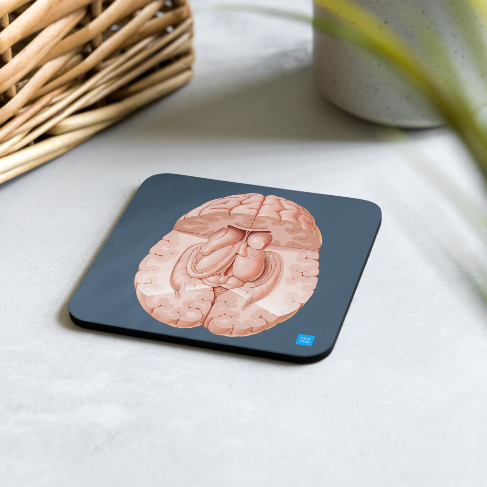 Brain Superior View Cork-back coaster