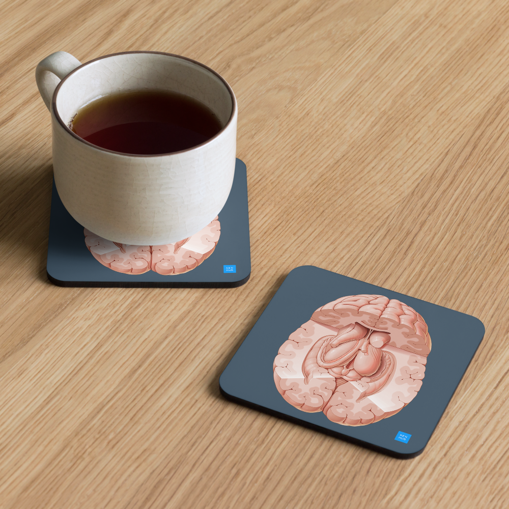 Brain Superior View Cork-back coaster