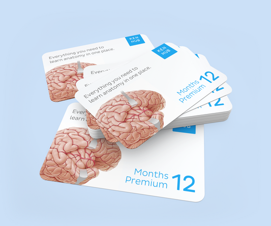 Bulk purchase: 12 months Kenhub Premium