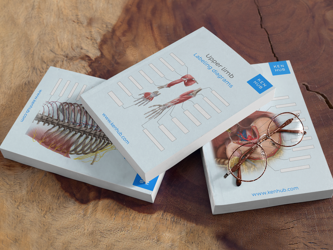 Labeling Worksheets Kenhub Merch