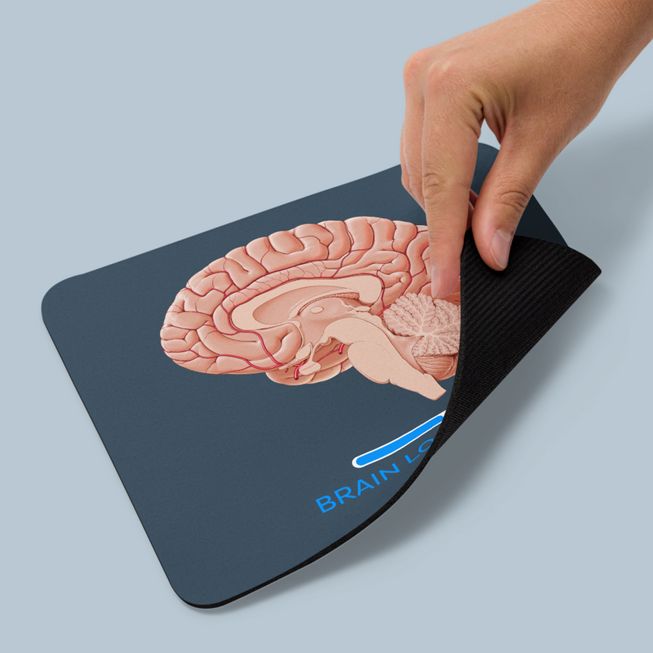 Products – Kenhub Merch