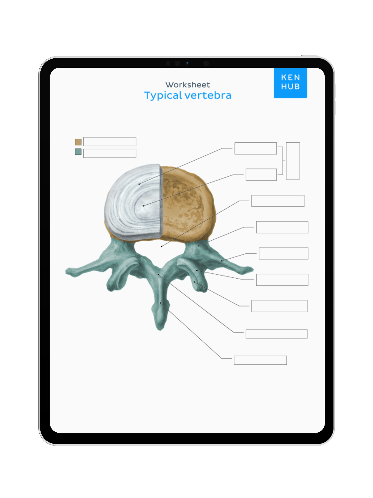 Spine and Back: Labeling Diagrams