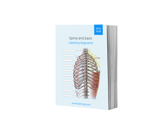 Spine and Back: Labeling Diagrams