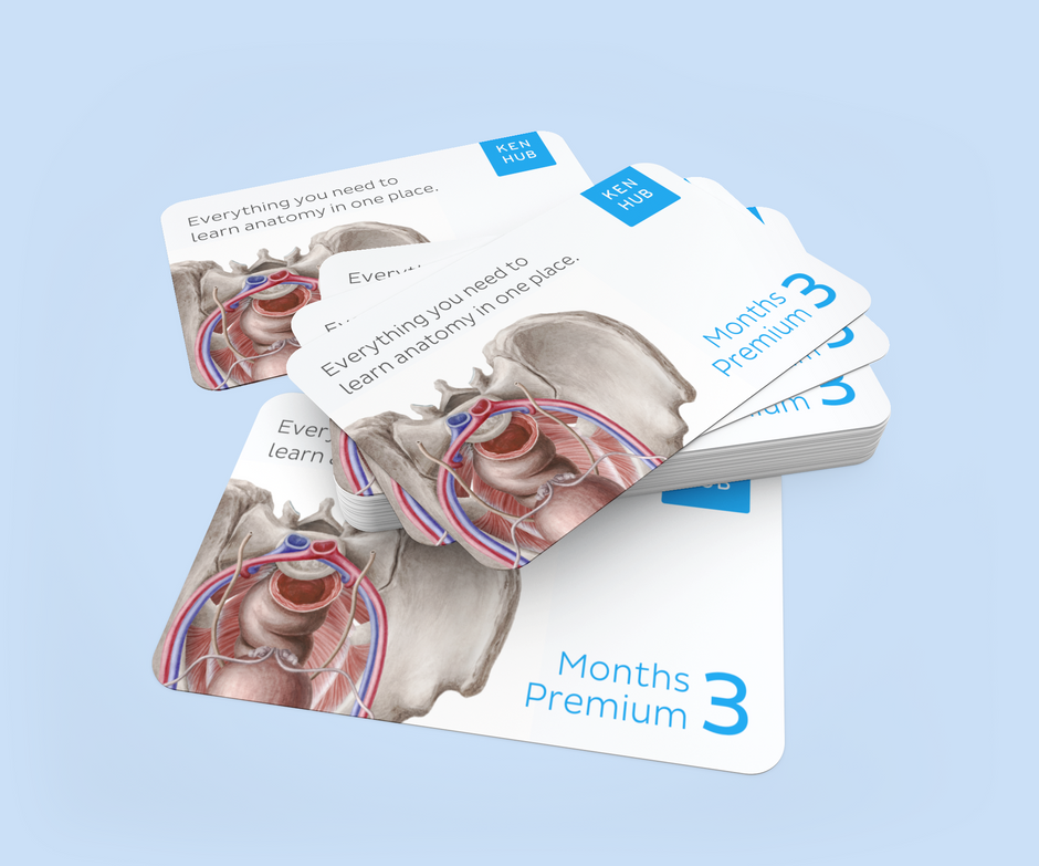 Kenhub Premium Kenhub Merch