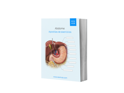 Complete Anatomy Bundle: Labeling Diagrams (Portuguese Terminology)