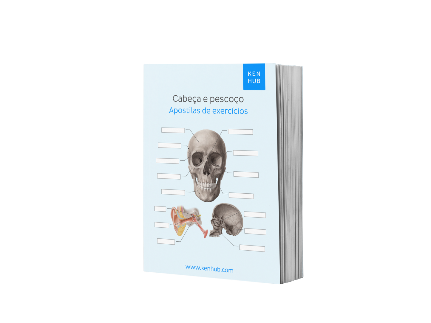 Complete Anatomy Bundle: Labeling Diagrams (Portuguese Terminology)