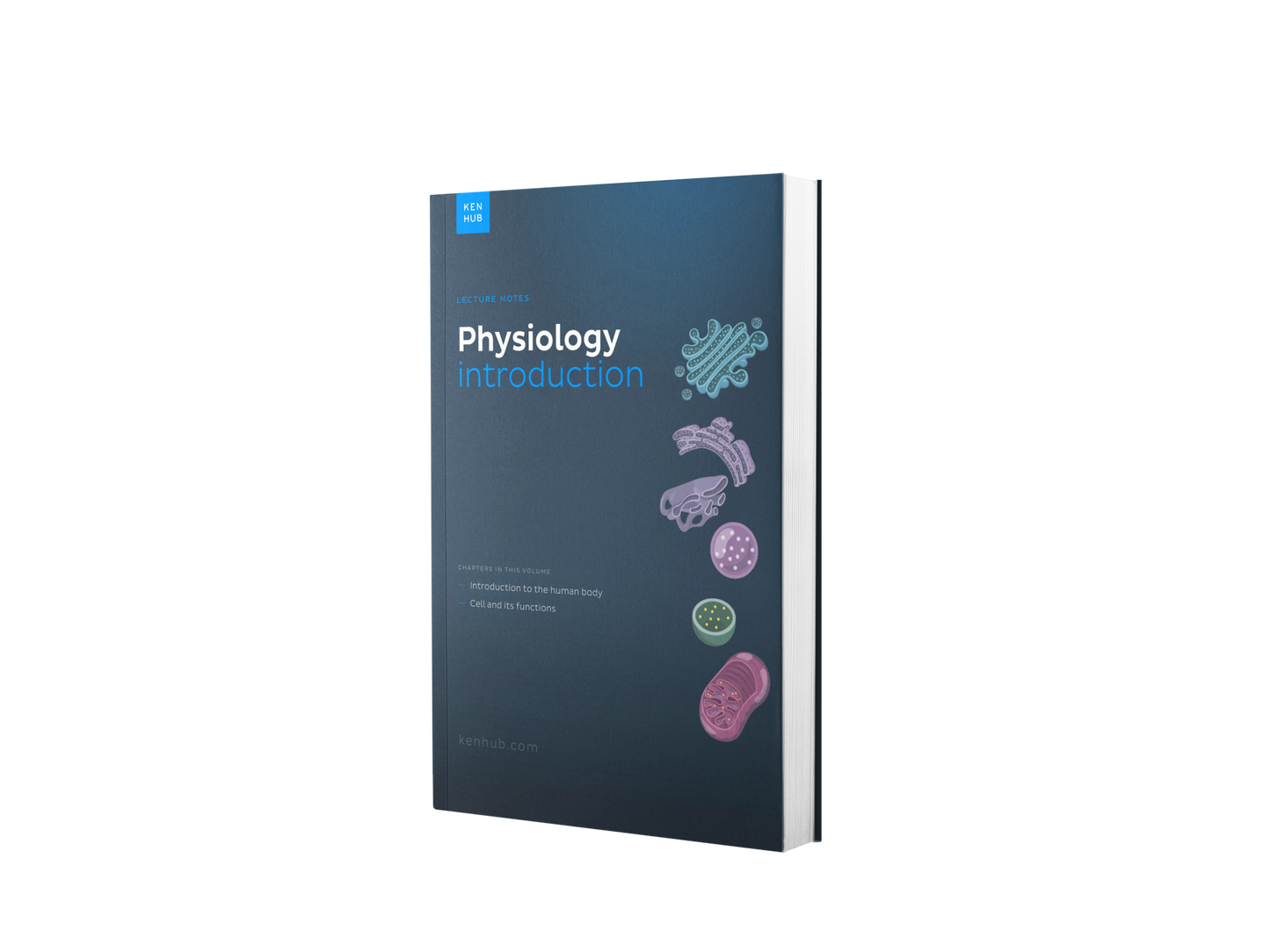 Introduction à la physiologie : Synthèse de cours