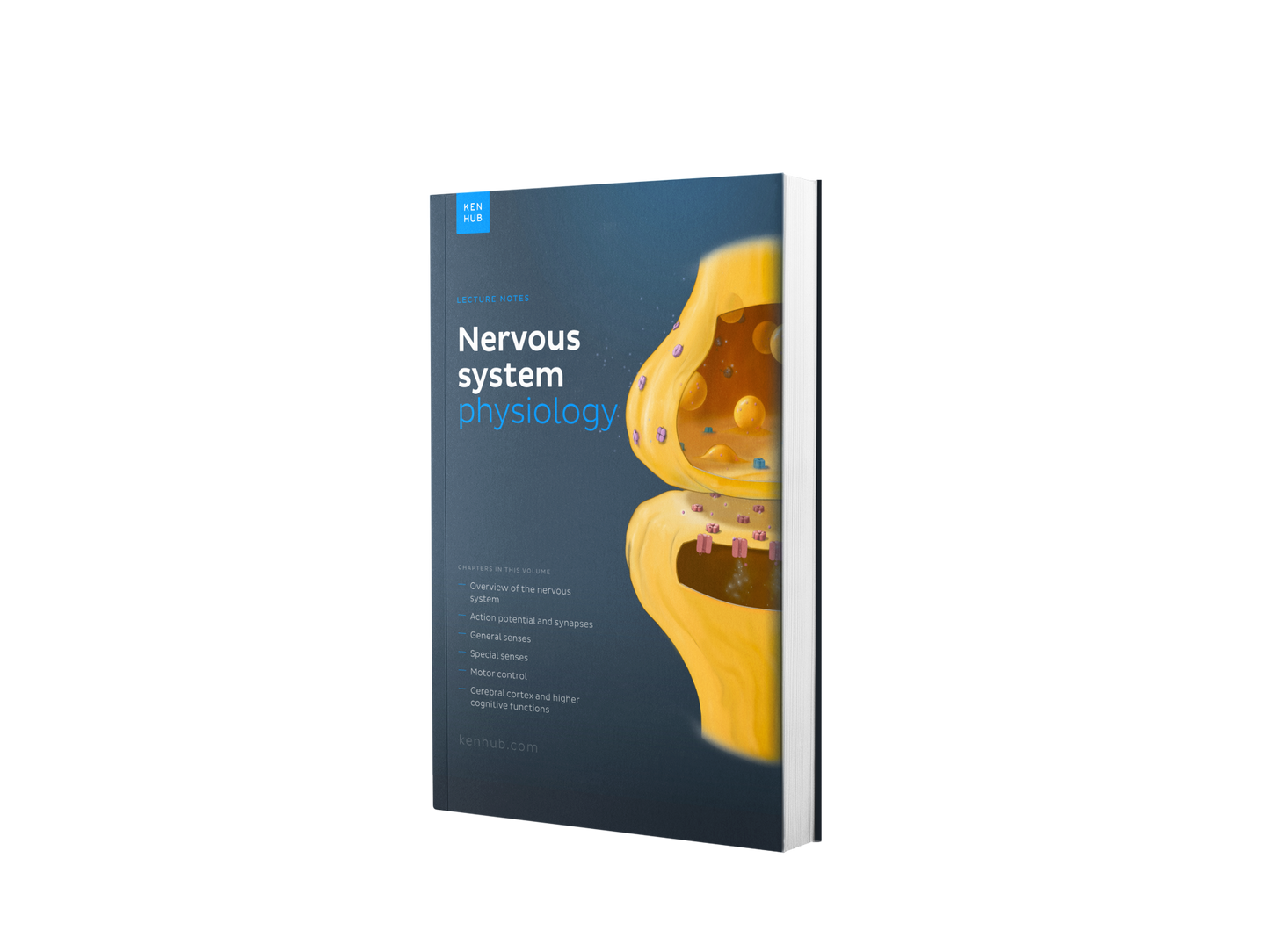 Neurophysiologie: Vorlesungsskript