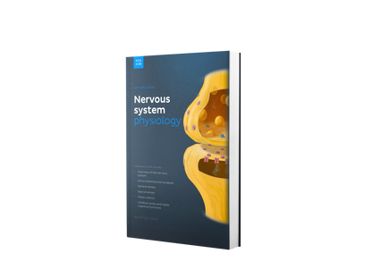 Neurophysiologie: Vorlesungsskript