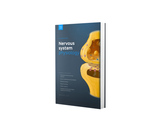Neurophysiologie : Synthèse de Cours