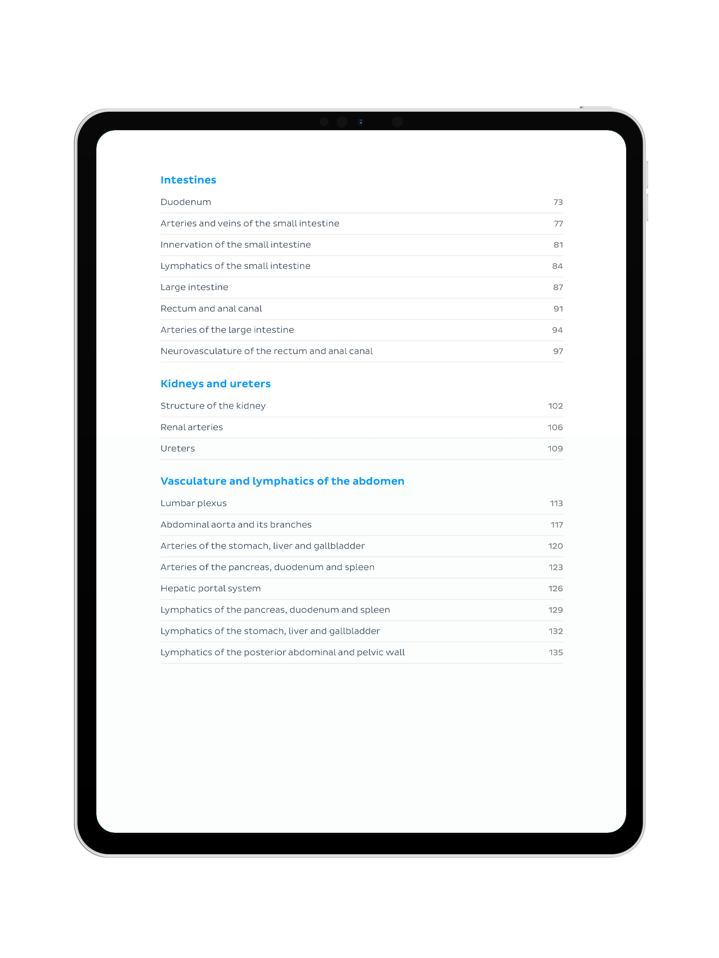 Abdomen Anatomy: Lecture Notes