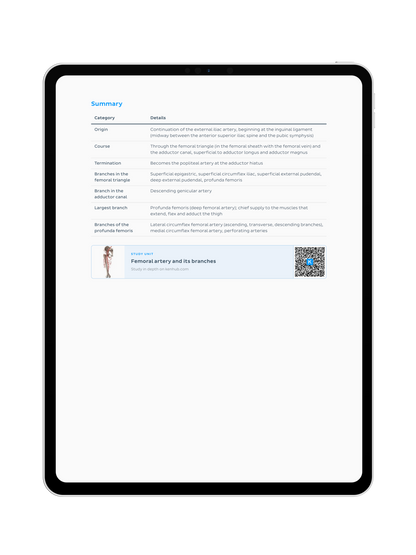 Lower Limb Anatomy: Lecture Notes