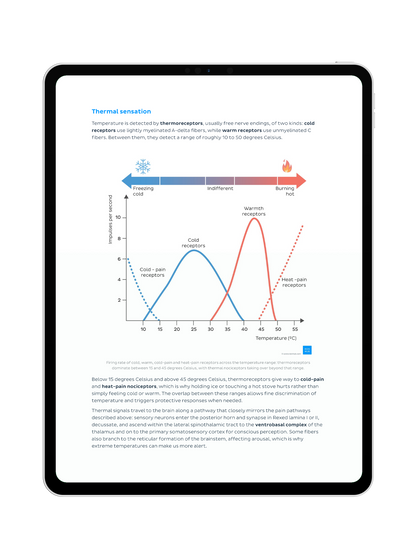 Neurophysiologie: Vorlesungsskript